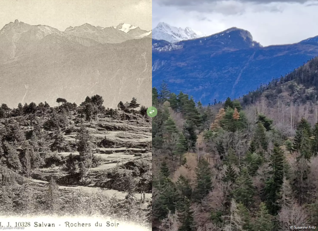 A Salvan, les prairies des Rochers du soir respirent à nouveau